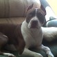 ROCKY 10 MESES